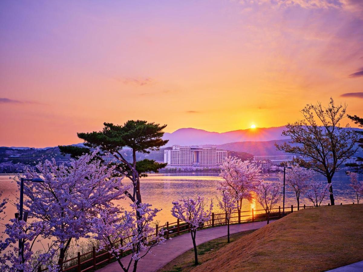 Sono Belle Gyeongju Hotel Екстериор снимка
