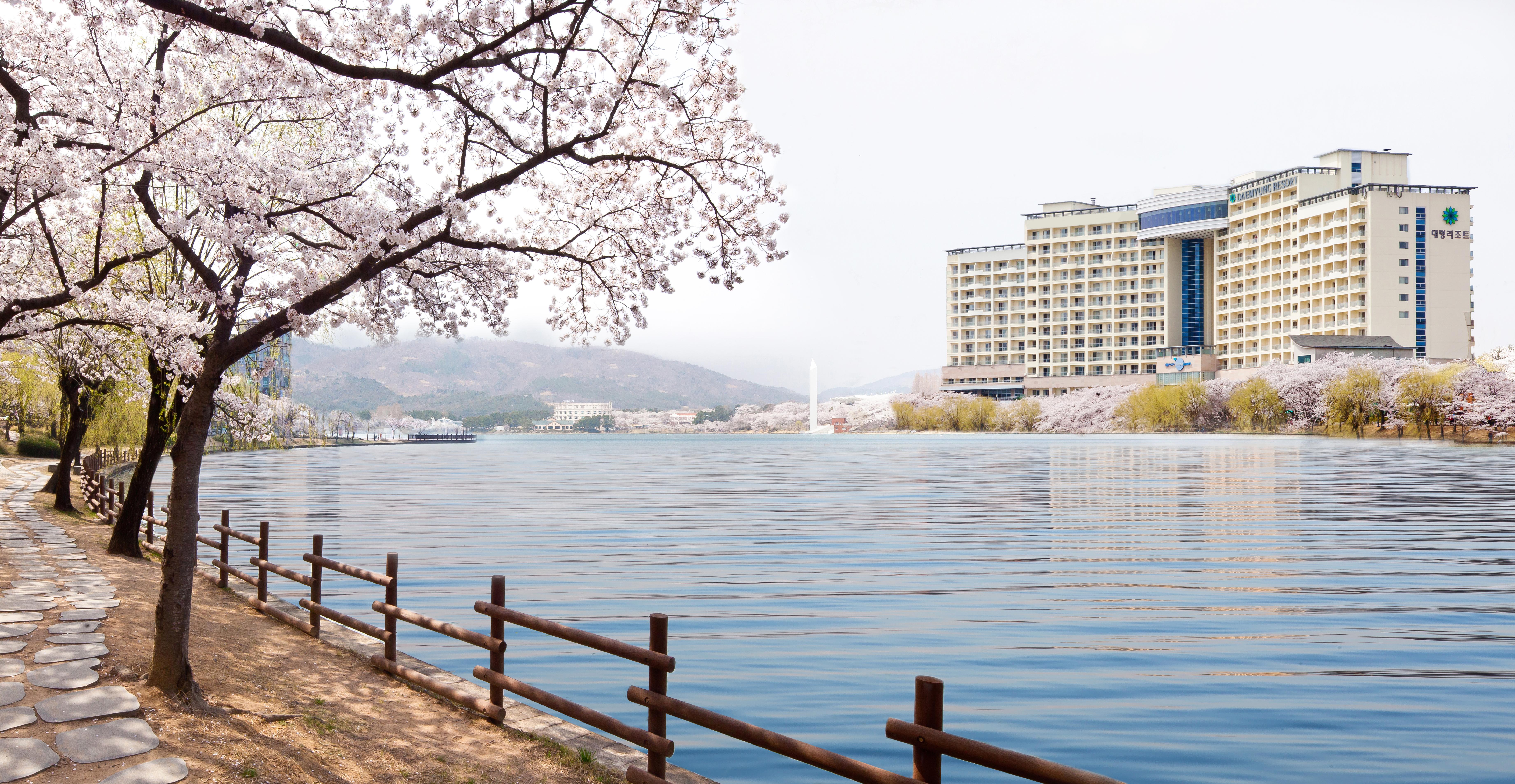Sono Belle Gyeongju Hotel Екстериор снимка